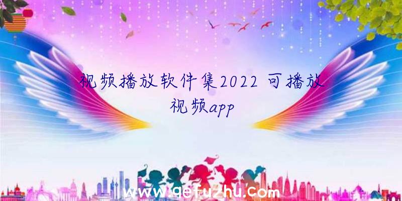 视频播放软件集2022